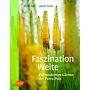 Faszination Weite