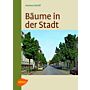 Bäume in der Stadt