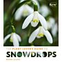 The Plant Lover's Guide to Snowdrops