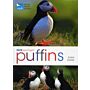 RSPB Spotlight - Puffins