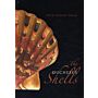 The Duchess's Shells - Natural History Collecting in the Age of Cook"s Voyages