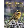 Rare Birds of North America