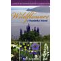 Wildflowers of Unalaska Island