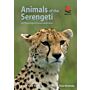 Animals of the Serengeti
