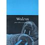 Walrus