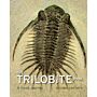 The Trilobite Book : A Visual Journey