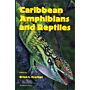 Carribean Amphibians and Reptiles