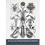 Atlas of Crustacean Larvae