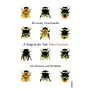 A Sting in the Tale - My Adventures with Bumblebees  (PBK)