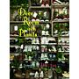 Deco Room with Plants
