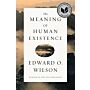 The Meaning of Human Existence