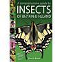 A Comprehensive Guide to Insects of Britain & Ireland