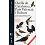 Ocells de Catalunya, País Valencià i Balears