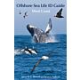 Offshore Sea Life ID Guide: West Coast (USA)
West Coast