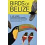 Birds of Belize