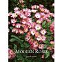 Modern, Bush and Shrub Roses