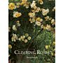 Climbing and Rambler Roses