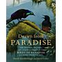 Drawn from Paradise - The Natural History, Art and Discovery of the Birds of Paradise