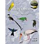 Bird Families of the World