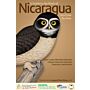 Guide to the Birds of Nicaragua / Nicaragua - Una Guia de Aves