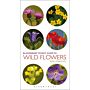 Bloomsbury Pocket Guide to Wild Flowers