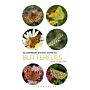 Bloomsbury Pocket Guide to Butterflies