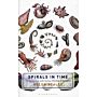 Spirals in Time - The Secret Life and Curious Afterlife of Seashells