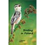 Birding in Poland