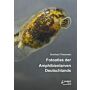 Fotoatlas der Amphibienlarven Deutschlands