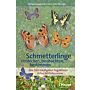 Schmetterlinge entdecken, beobachten, bestimmen