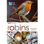 RSPB spotlight - Robins