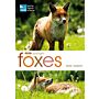 Foxes