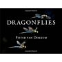 Dragonflies
