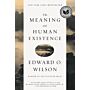 The Meaning of Human Existence (PBK)