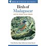 Helm Field Guides - Birds of Madagascar and the Indian Ocean Islands