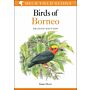 Helm Field Guides - Birds of Borneo