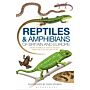 Reptiles and Amphibians of Britain and Europe