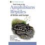Reptiles and Amphibians of Britain and Europe