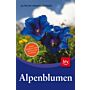 Alpenblumen