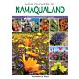 Wild Flowers of Namaqualand -  A Botanical Society Guide