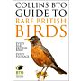 Collins BTO Guide to Rare British Birds