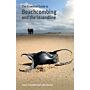 Essential Guide to Beachcombing and the Strandline