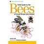 Field Guide to the Bees of Great Britain and Ireland (PBK)