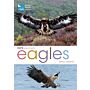RSPB Spotlight - Eagles