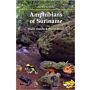 Amphibians of Suriname