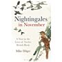 Nightingales in November - A Year in the Lives of Twelve British Birds