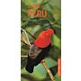 Birds of Peru - Pocket Photo Guide