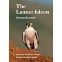 Lanner Falcon (Falco biarmicus)