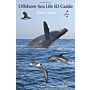 Offshore Sea Life ID Guide: East Coast (Princeton Field Guides)