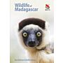 Wildlife of Madagascar